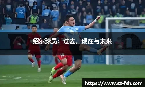 绍尔球员：过去、现在与未来